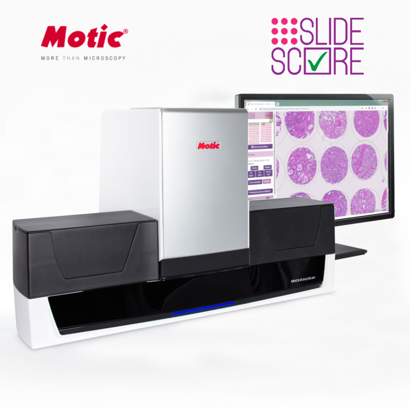 Motic & Slide Score Motic & Slide Score